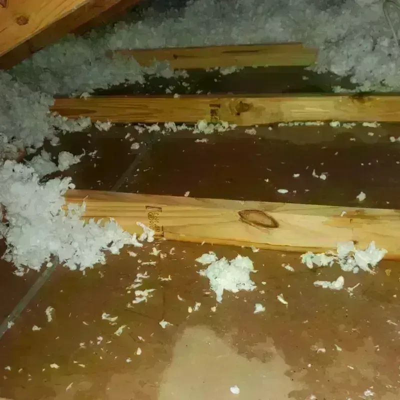 Attic Water Damage in Archbald, PA